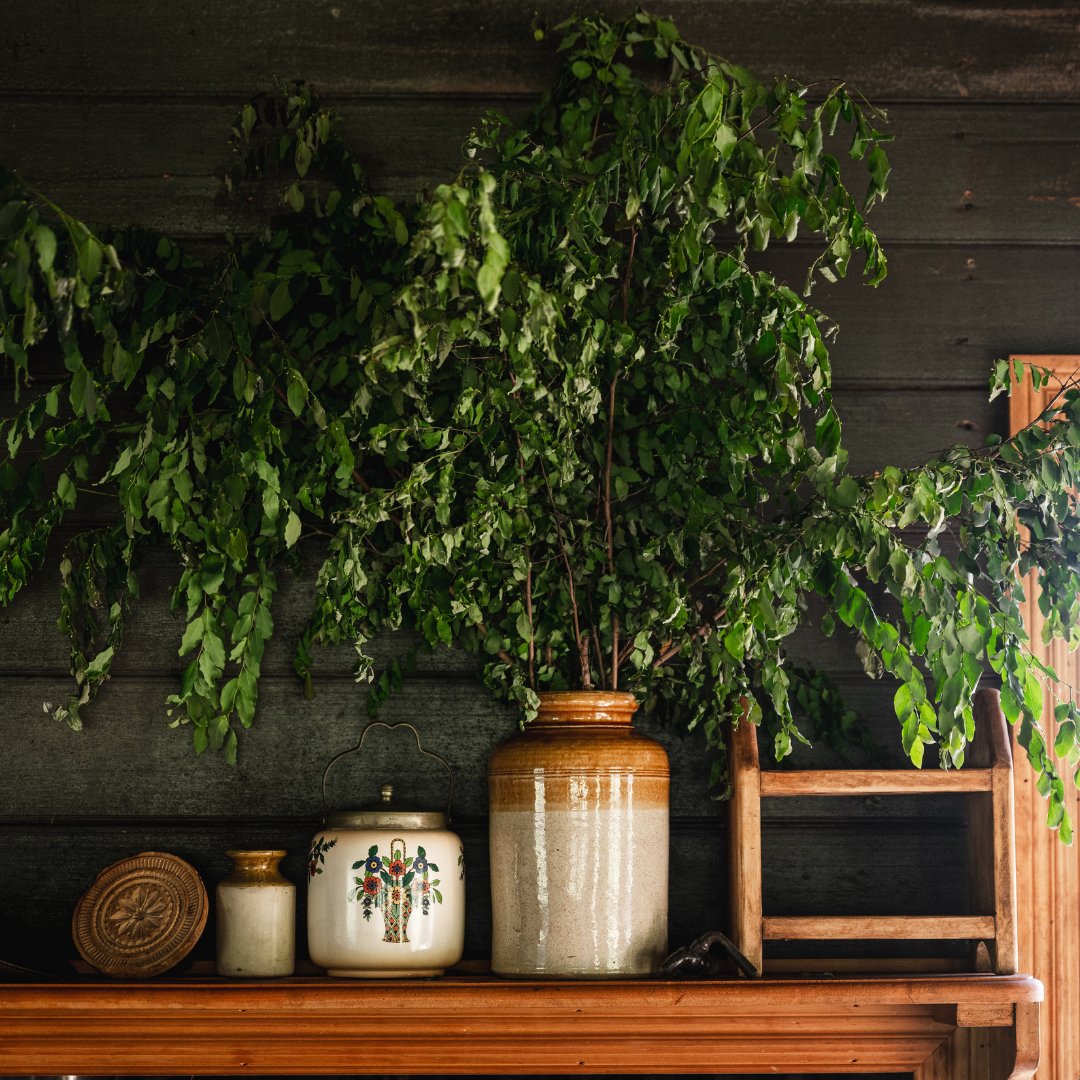 A vase with eucalyptus branches is placed on a windowsill. The window shows a blurred view of trees outside.