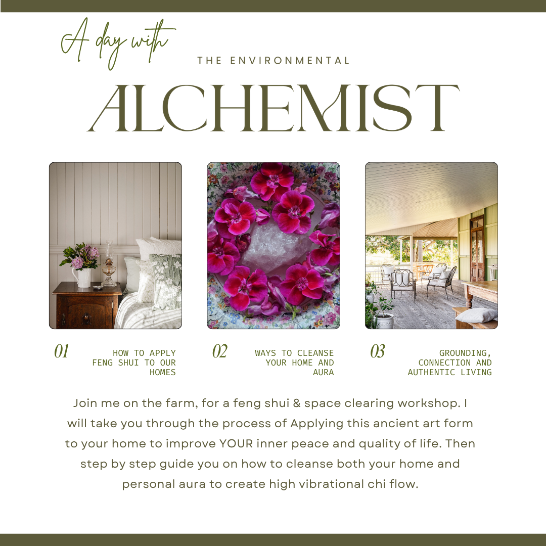 
                  
                    Feng Shui & Chinese Astrology Workshops
                  
                