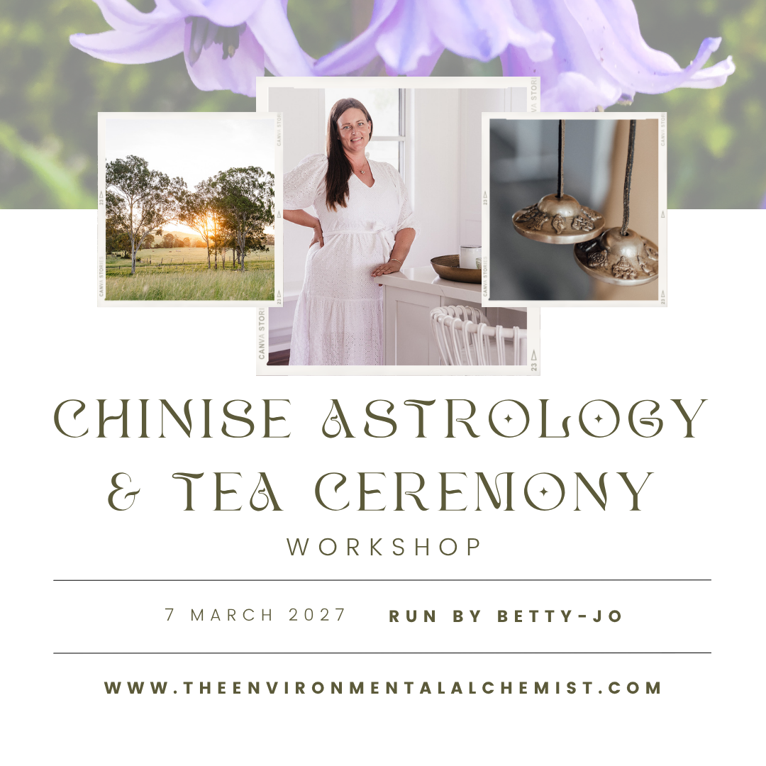 
                  
                    Feng Shui & Chinese Astrology Workshops
                  
                