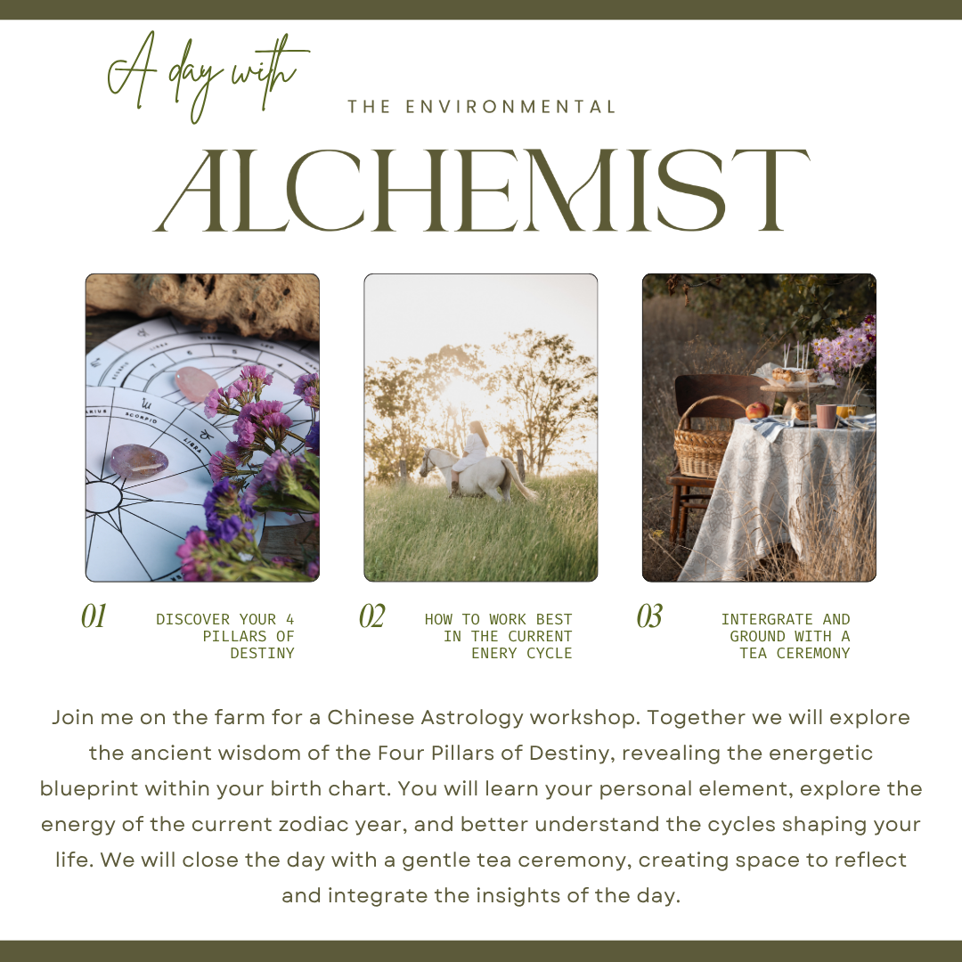 
                  
                    Feng Shui & Chinese Astrology Workshops
                  
                